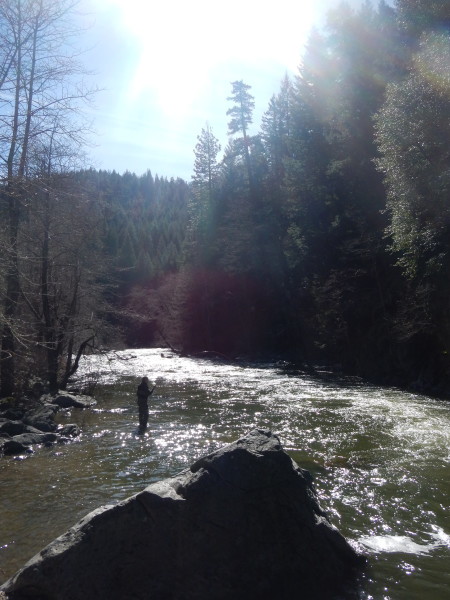 The Upper Sac can fish great at high flows.