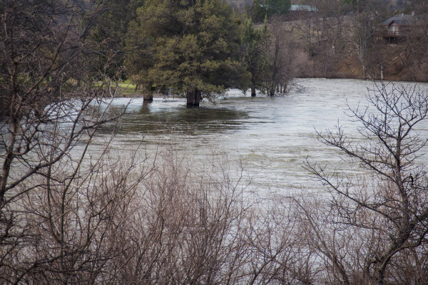 High water pushed passed the banks.