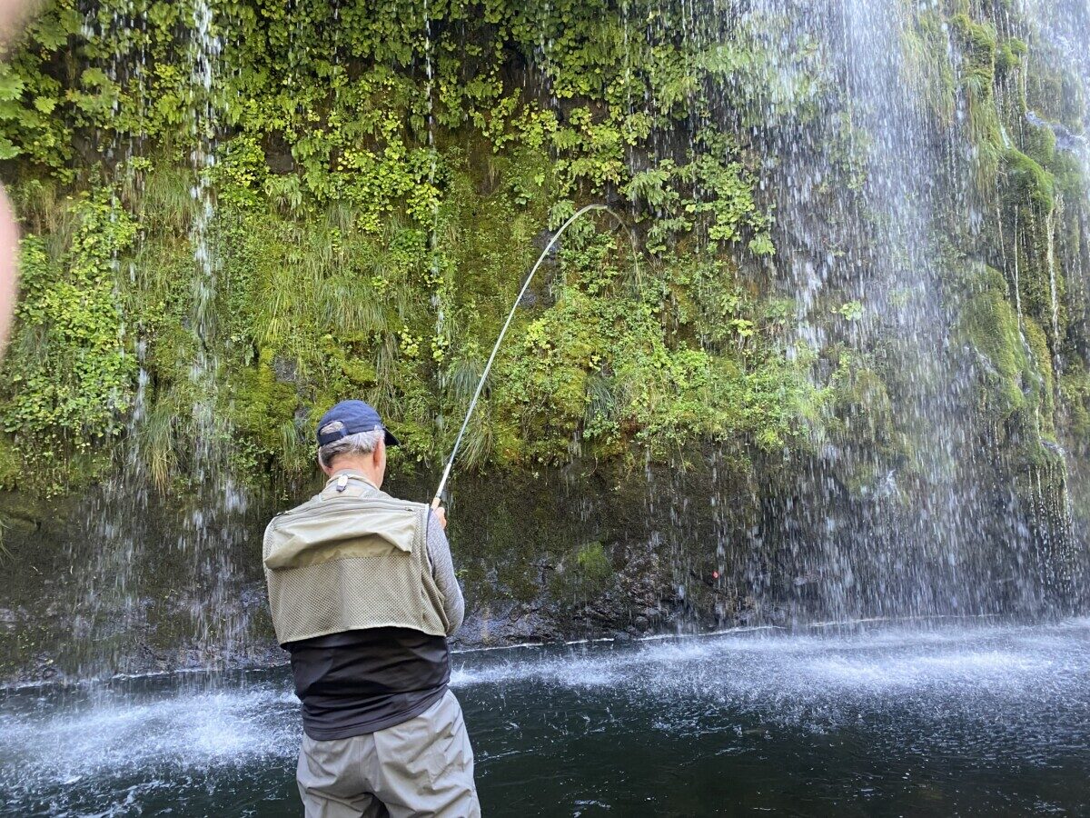 Steelhead river getting too crowded? Target these secret fish